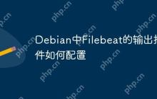 Debian中Filebeat的输出插件如何配置