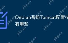 Debian系统Tomcat配置技巧有哪些