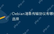 Debian消息传输协议有哪些选择