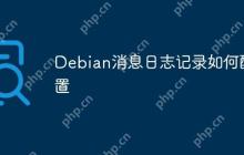 Debian消息日志记录如何配置