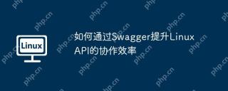 如何通过Swagger提升Linux API的协作效率