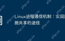 Linux进程通信机制：实现数据共享的途径