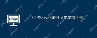 FTPServer如何设置虚拟主机