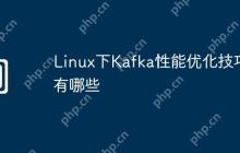Linux下Kafka性能优化技巧有哪些