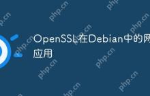 OpenSSL在Debian中的网络应用
