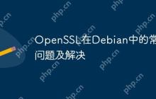 OpenSSL在Debian中的常见问题及解决