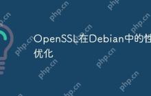 OpenSSL在Debian中的性能优化