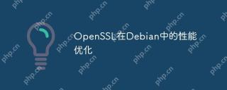 OpenSSL在Debian中的性能优化
