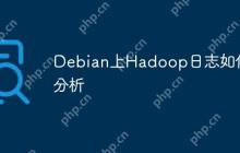 Debian上Hadoop日志如何分析