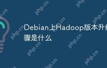 Debian上Hadoop版本升级步骤是什么