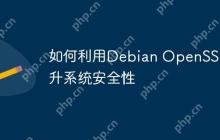 如何利用Debian OpenSSL提升系统安全性