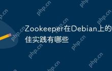 Zookeeper在Debian上的最佳实践有哪些