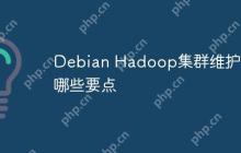 Debian Hadoop集群维护有哪些要点