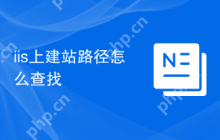 iis上建站路径怎么查找