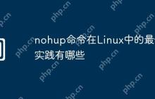 nohup命令在Linux中的最佳实践有哪些