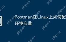 Postman在Linux上如何配置环境变量