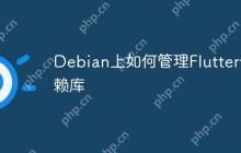 Debian上如何管理Flutter依赖库