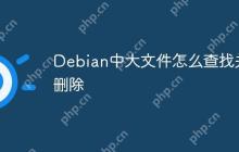 Debian中大文件怎么查找并删除