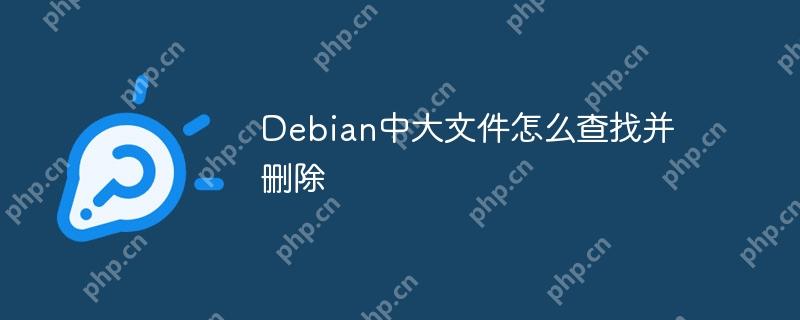Debian中大文件怎么查找并删除