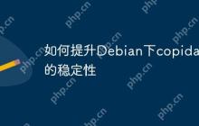 如何提升Debian下copidar的稳定性
