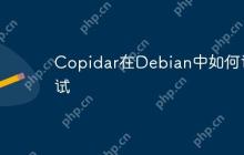 Copidar在Debian中如何调试