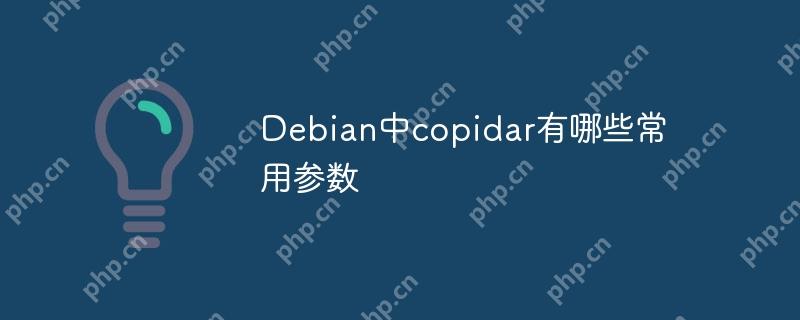 Debian中copidar有哪些常用参数