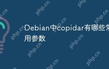 Debian中copidar有哪些常用参数