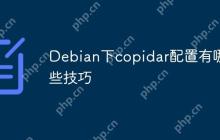 Debian下copidar配置有哪些技巧