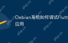 Debian系统如何调试Flutter应用