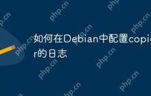 如何在Debian中配置copidar的日志