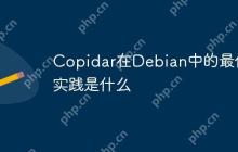 Copidar在Debian中的最佳实践是什么