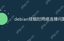 debian挂载时网络连接问题