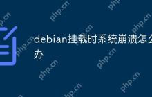 debian挂载时系统崩溃怎么办