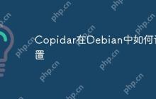 Copidar在Debian中如何设置