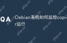 Debian系统如何监控copidar运行