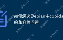 如何解决Debian中copidar的兼容性问题