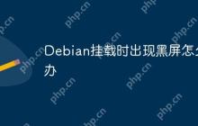 Debian挂载时出现黑屏怎么办
