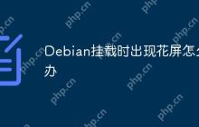 Debian挂载时出现花屏怎么办