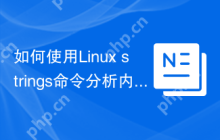 如何使用Linux strings命令分析内存转储