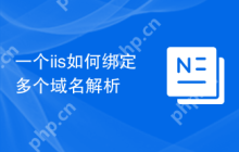 一个iis如何绑定多个域名解析