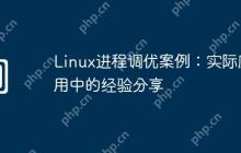 Linux进程调优案例：实际应用中的经验分享