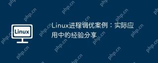 Linux进程调优案例：实际应用中的经验分享