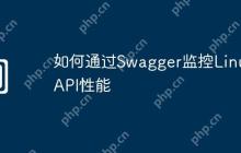 如何通过Swagger监控Linux API性能
