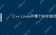 C++ Linux环境下如何调试