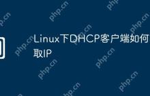 Linux下DHCP客户端如何获取IP