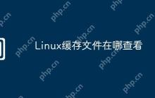 Linux缓存文件在哪查看