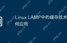 Linux LAMP中的缓存技术如何应用