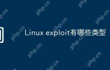 Linux exploit有哪些类型