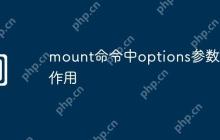 mount命令中options参数的作用