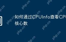 如何通过CPUInfo查看CPU核心数